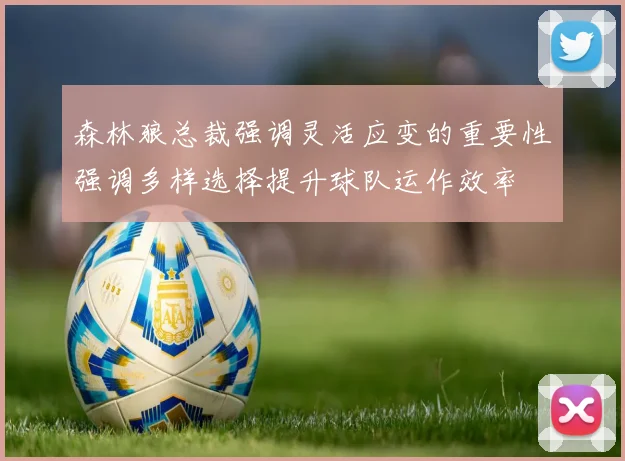 森林狼总裁强调灵活应变的重要性强调多样选择提升球队运作效率